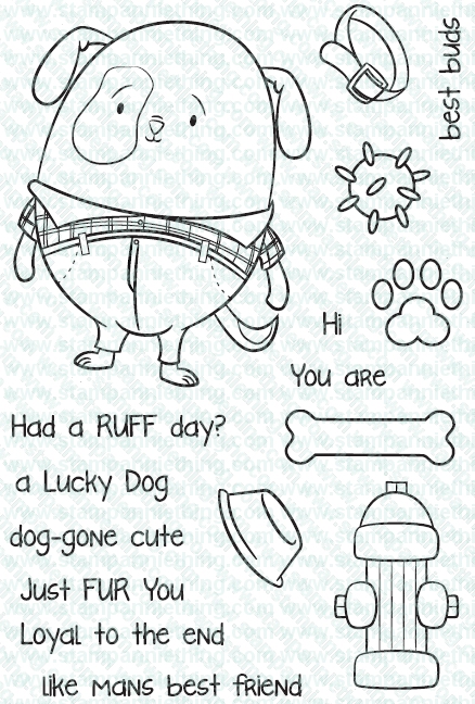 Dog Gone Cute!