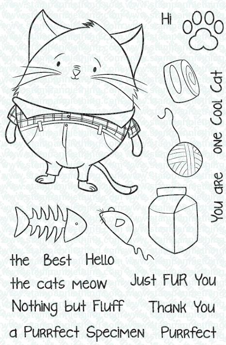 One Cool Cat
